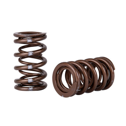 Skunk2 Pro Series Honda/Acura K-Series i-VTEC XP Valve Spring Set (Dual Springs)